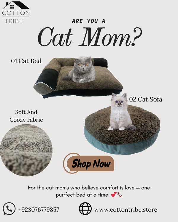 Cat Bed & Sofa Set 🐱🛋️